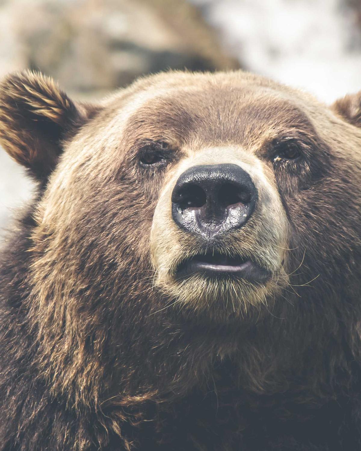 Clean low-saturation summer tops styling scene for a short-sleeve shirt feature